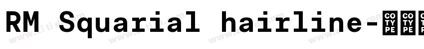 RM Squarial hairline字体转换